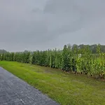 By Park Pond In The Netherlands Veldhoven