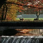 By Park Pond In The Netherlands Chalet *