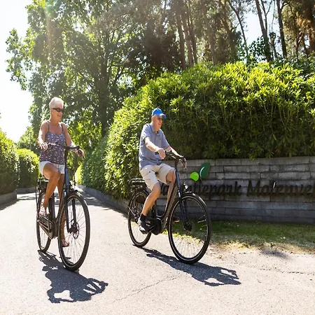 Alpehytte By Park Pond In The Netherlands *