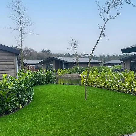 By Park Pond In The Netherlands 벨트호벤