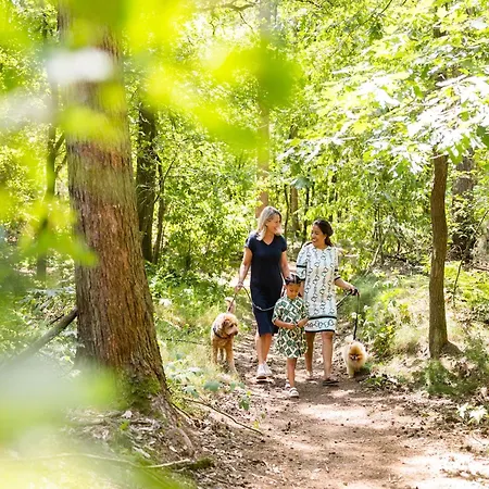 By Park Pond In The Netherlands *