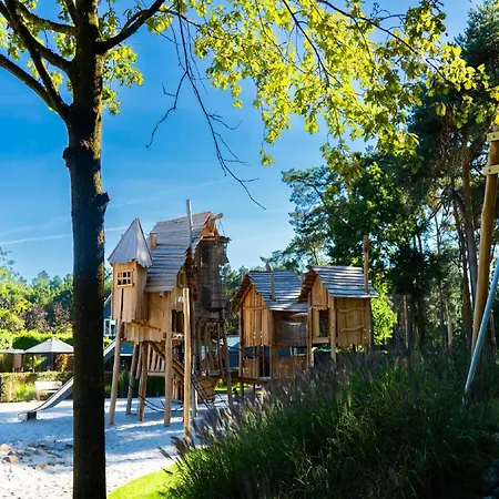 By Park Pond In The Netherlands Veldhoven