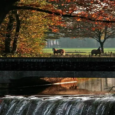 By Park Pond In The Netherlands Horská chata *
