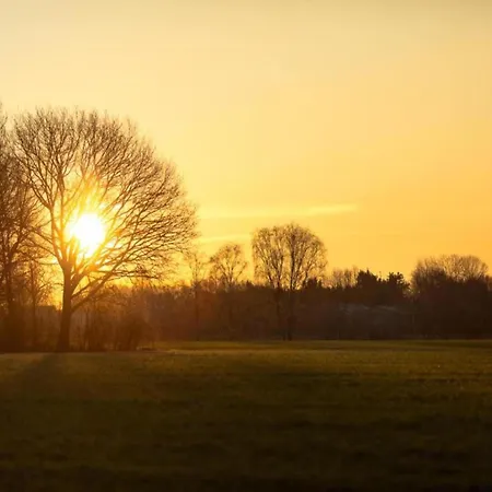 By Park Pond In The Netherlands *