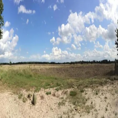 By Park Pond In The Netherlands 벨트호벤