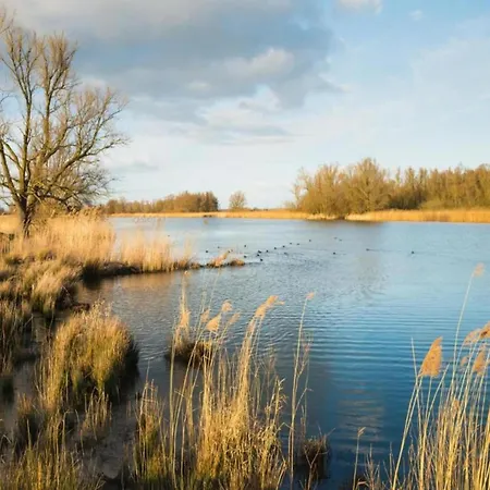 Alpehytte By Park Pond In The Netherlands Veldhoven