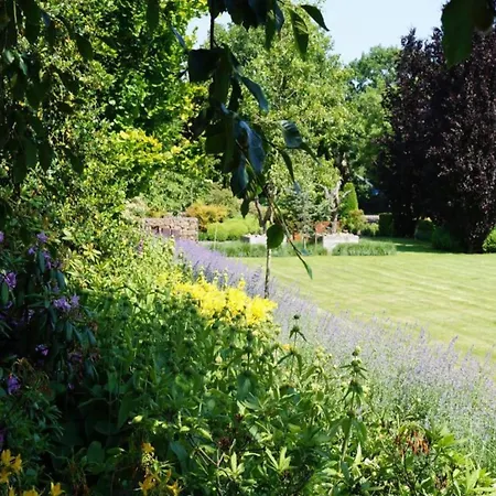 By Park Pond In The Netherlands 샬레 *