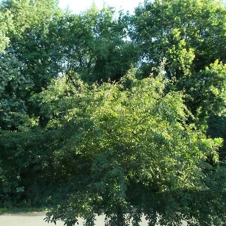 By Park Pond In The Netherlands 샬레