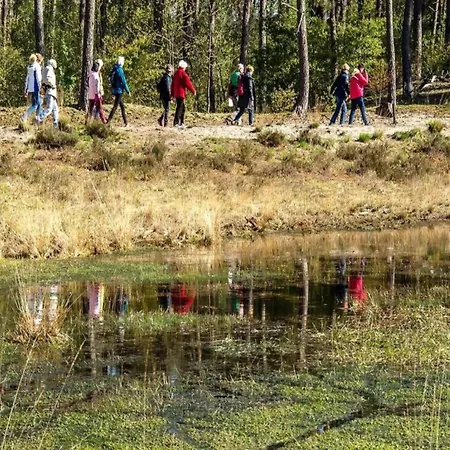 샬레 By Park Pond In The Netherlands
