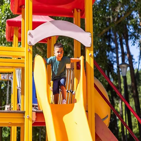 By Park Pond In The Netherlands *