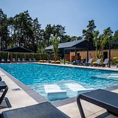 By Park Pond In The Netherlands * Veldhoven