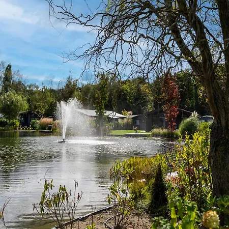 Alpehytte By Park Pond In The Netherlands Veldhoven