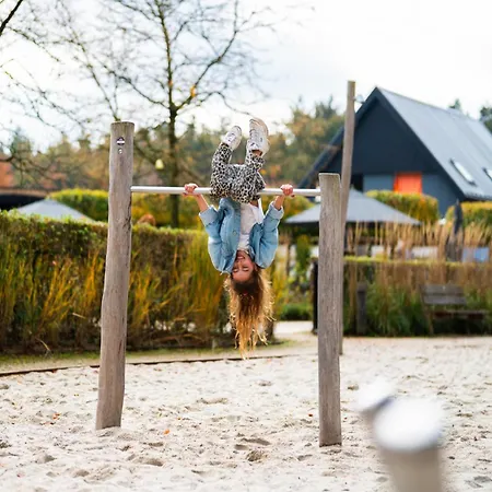 By Park Pond In The Netherlands * 벨트호벤