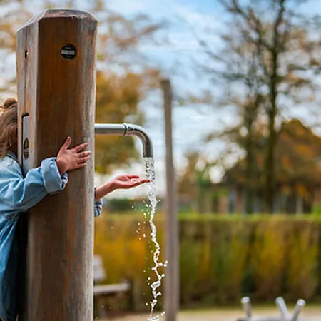 By Park Pond In The Netherlands * 벨트호벤