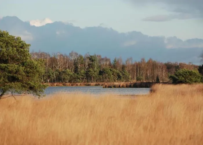 By Park Pond In The Netherlands * Veldhoven