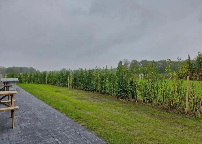 By Park Pond In The Netherlands Veldhoven