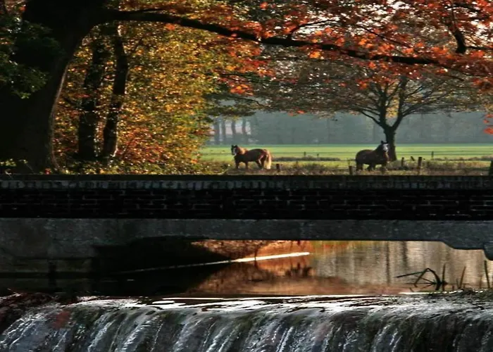 By Park Pond In The Netherlands Σαλέ *