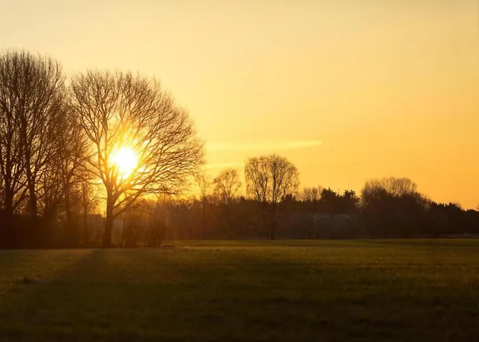 By Park Pond In The Netherlands *