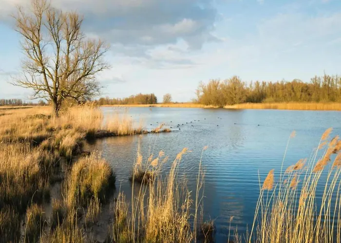 Σαλέ By Park Pond In The Netherlands Veldhoven