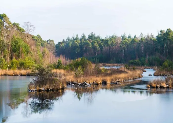 By Park Pond In The Netherlands Σαλέ *