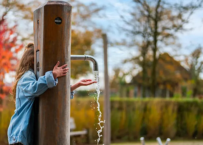 By Park Pond In The Netherlands * Veldhoven