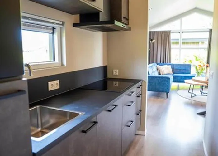 By Park Pond In The Netherlands