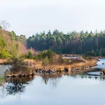 By Park Pond In The Netherlands 샬레 *