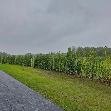 By Park Pond In The Netherlands Veldhoven